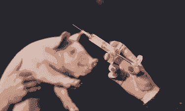 小猪喘用什么针好