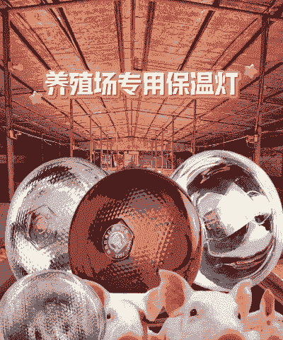 猪用保温灯用什么