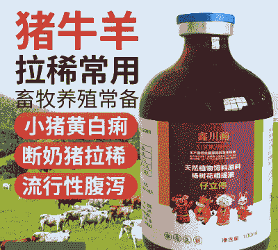 仔猪吃了吐用什么药