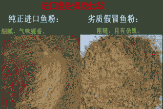 鱼粉可以加什么参假