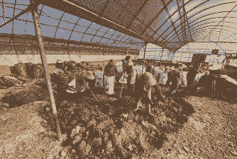 养鸭场地消毒用什么好