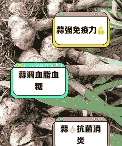 大蒜对猪有什么好处