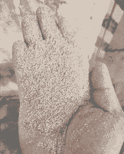 稻米糠做什么饲料好