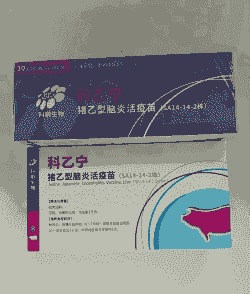 猪总感冒打什么针