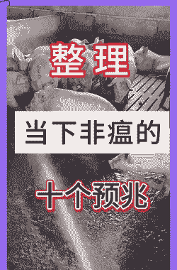 发猪瘟是什么意思