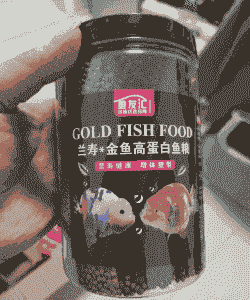 泰师鱼喂什么饲料