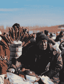 冬天农村卖什么最赚钱