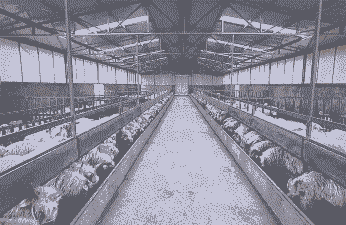 甘肃有什么养殖业