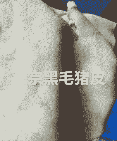 猪喂什么皮毛发亮