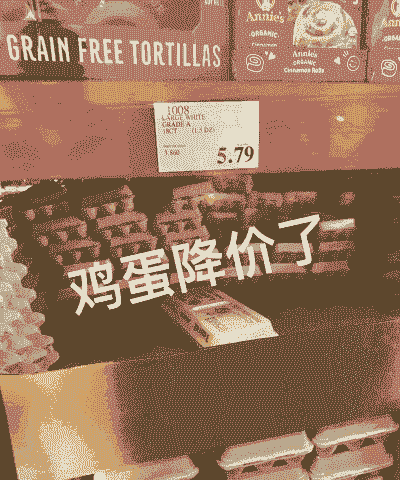 蛋鸡蛋率为什么下降