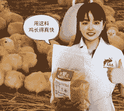 饲料舒化有什么优势