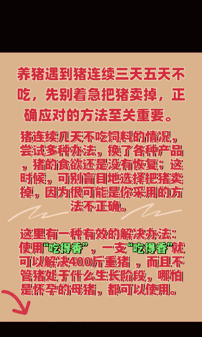 猪不吃全价什么原因