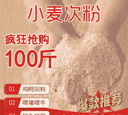 小麦次粉属于什么饲料