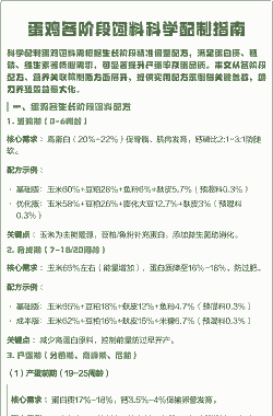 蛋鸡需要吃什么饲料