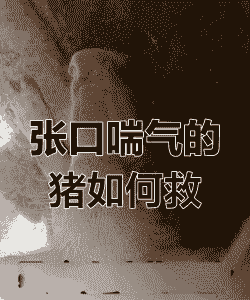 猪张嘴喘气是什么病