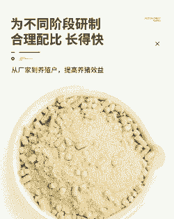 仔猪教槽料是什么