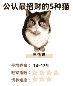 养什么动物赚钱投资少