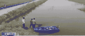 包蟹什么时候养殖