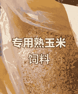 什么玉米做猪饲料更好