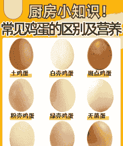 信息鸡蛋是什么东西