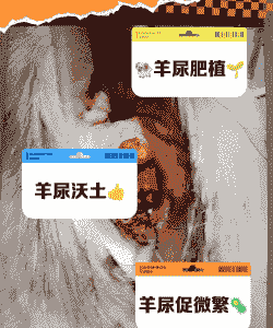 羊吃尿素有什么作用