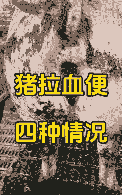 猪拉血便什么病