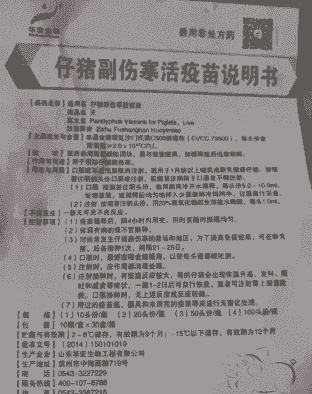 仔猪副伤寒打什么什