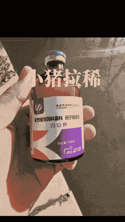 仔猪拉稀打什么针 药