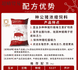 种公猪喂点什么料