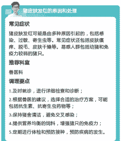 猪身体发红什么原因