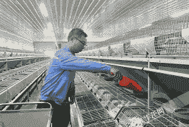 农民养兔子冬天喂什么