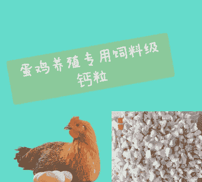 蛋鸡补钙饲料要添加什么