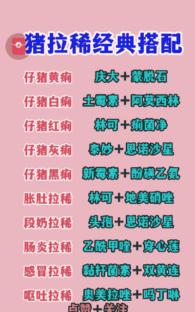 预防仔猪拉稀的什么药