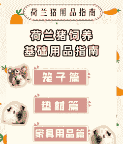 养猪应该具备什么东西