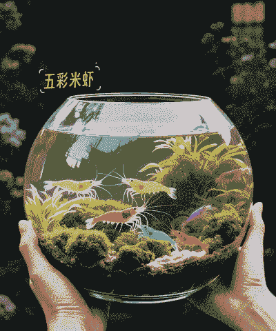 海水缸养混养什么虾