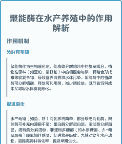 酶在养殖有什么作用