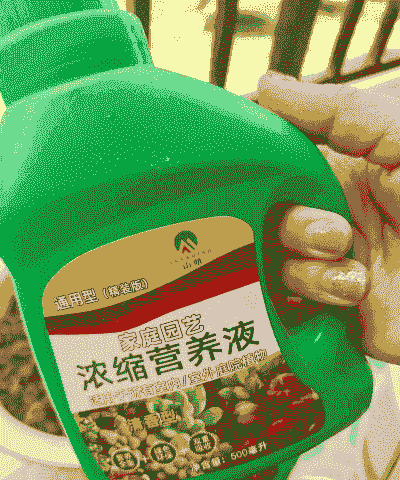 液态饲养用的什么料