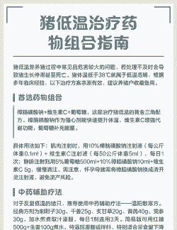猪出现低温要用什么药