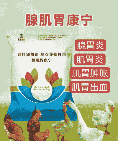 鸡喂的什么药开胃