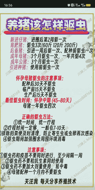 驱虫对猪有什么好处