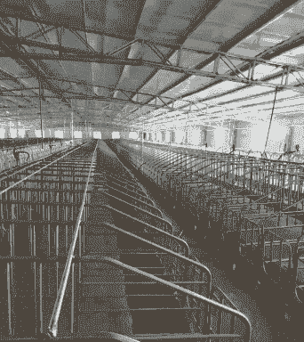 猪场各栏用什么材料最好