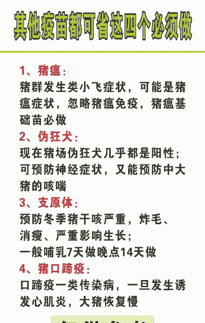 小猪打疫苗有什么禁忌