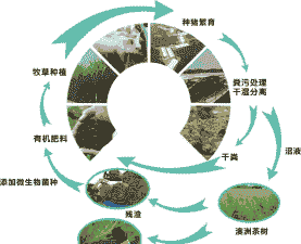养殖代养场什么模式