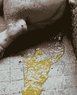 猪拉什么颜色的粪便