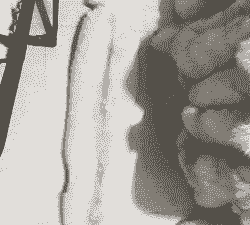 狐皮的养殖有什么好处