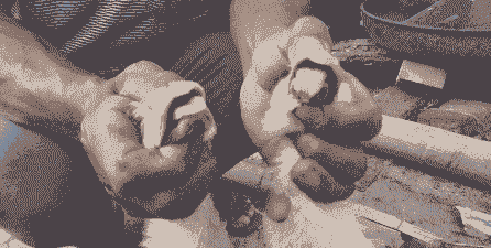 鸭子的舌头有什么特点