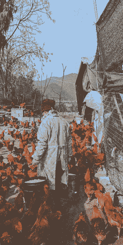 浙江山地养殖什么好