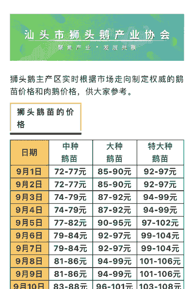 养殖什么品种鹅价格高