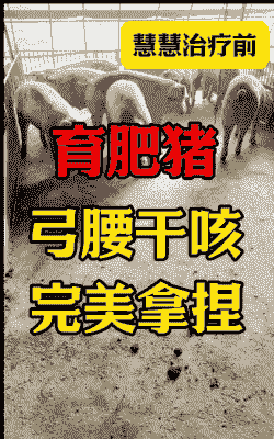 猪弓腰是什么原因