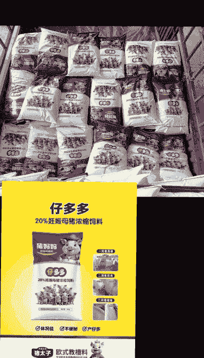 什么品牌的母猪料好